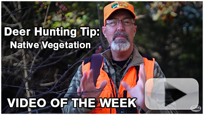 Deer Hunting Tip: Hunting Over Native Vegetation