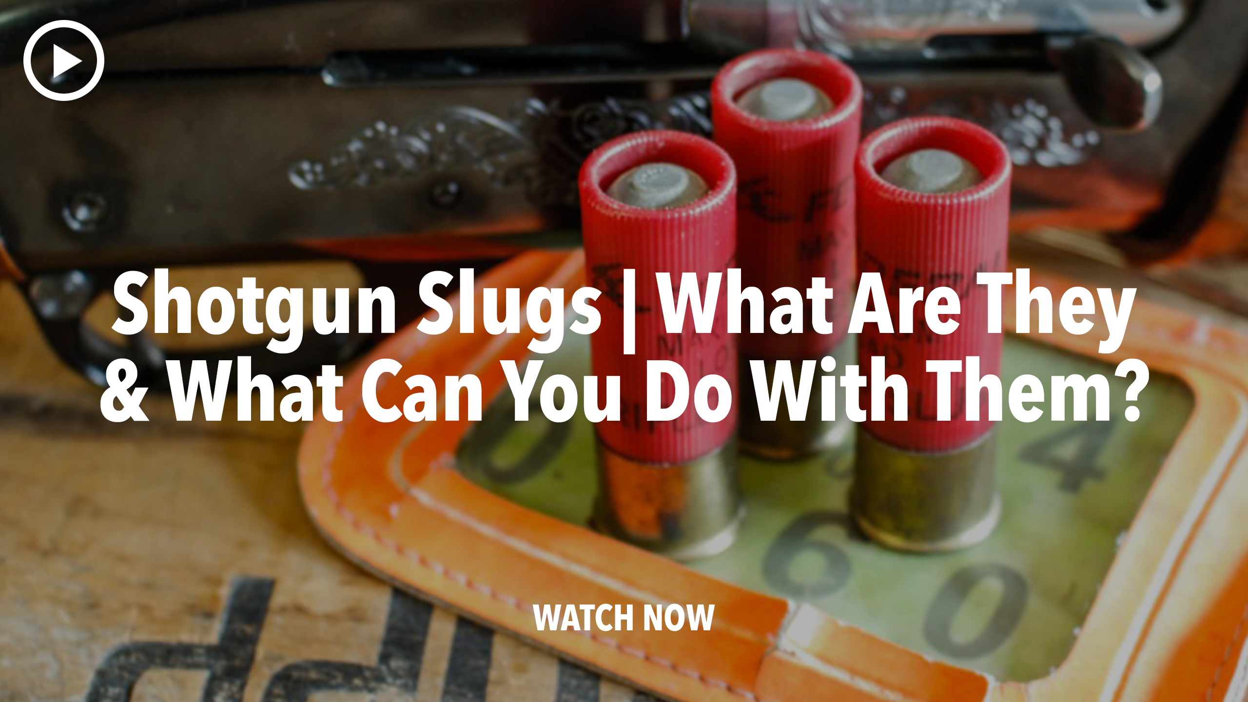 Shotgun Slugs — What Are They and What Can You Do With Them?