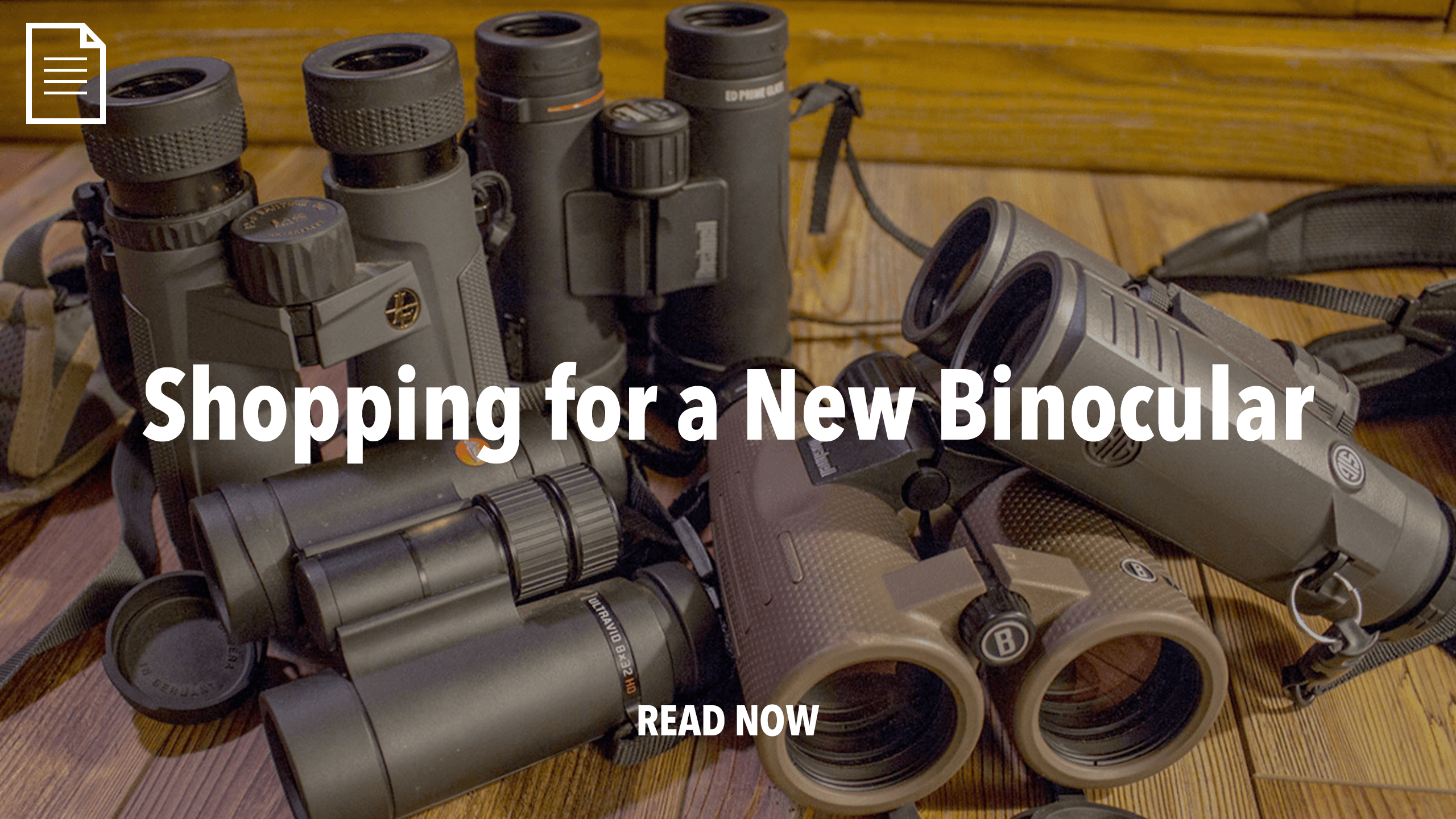 Shopping for a New Binocular