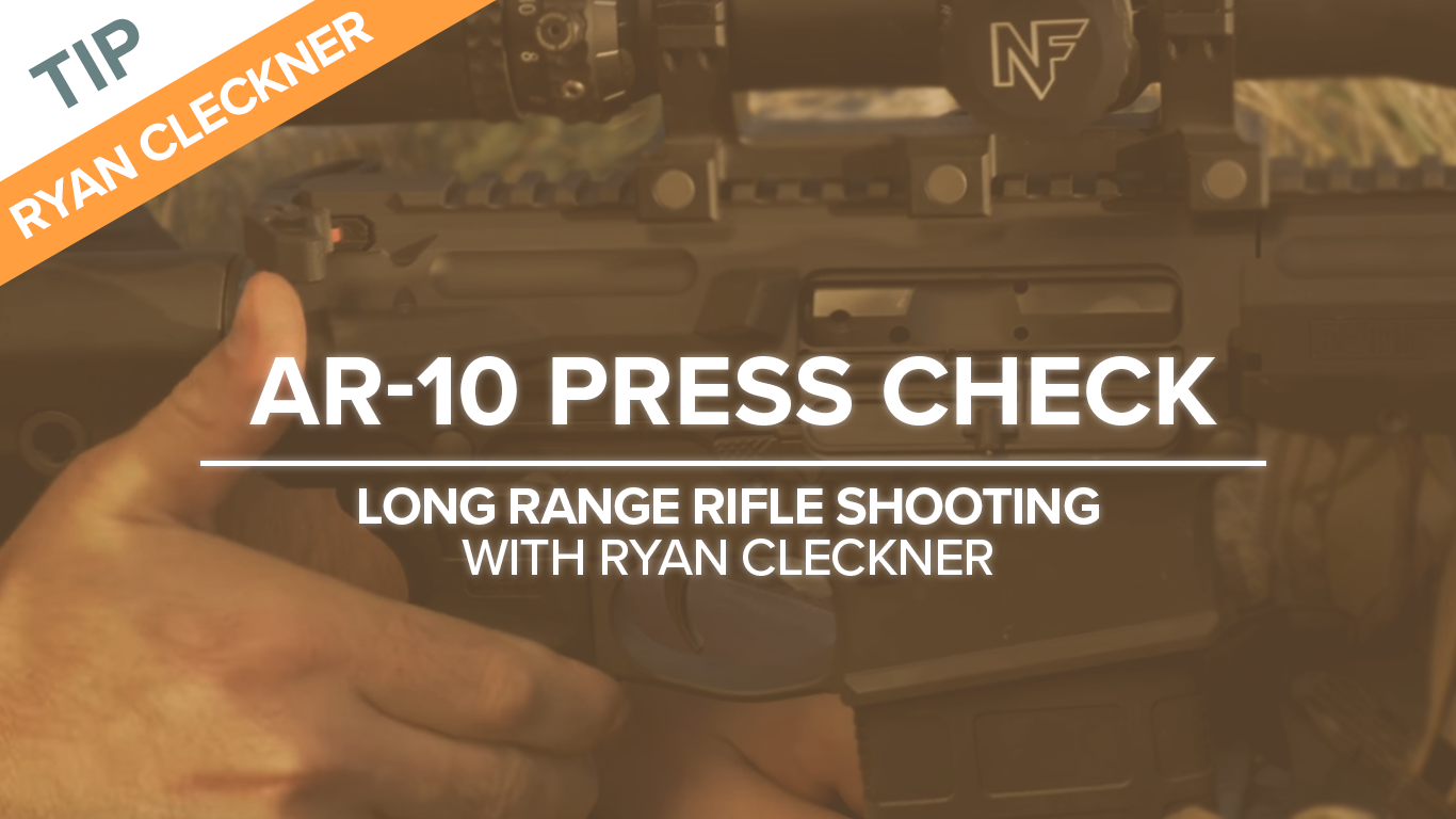 AR-10 Press check